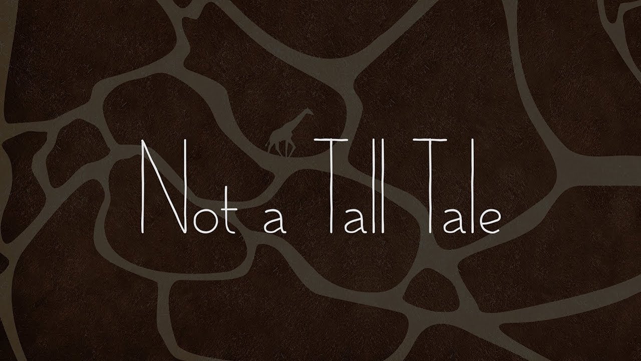 Not a Tall Tale: Giraffe Conservation Documentary