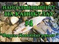 ФОРЕЛЬ КАВКАЗСКИХ РУЧЬЕВ \ #4 НАНО СПИНИНГИСТ НА КАНИКУЛАХ.