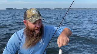 Ask an Expert What are the benefits of fishing over oyster reefs