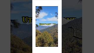 Celebrity Instagram Trending Mountain Text Reveal Reels Editing #capcut Net Worth