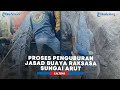 Proses Penguburan Jasad Buaya Raksasa Sungai Arut Kalimantan Tengah Yang Memakan Korban