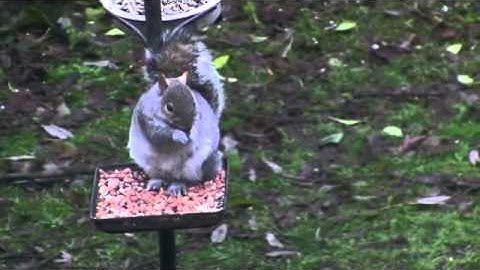 Học tiếng Anh dễ dàng với Mr Duncan [FULL HD TEST Canon HF100]