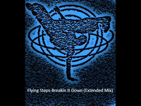 Flying Steps-Breakin It Down (Extended Mix)