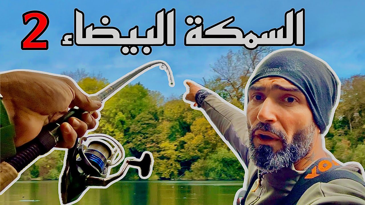 السمكة البيضاء 2