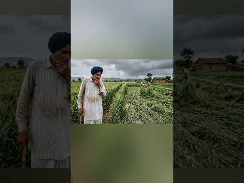 Today Breaking News 2 April 2026 NJ NEWS Today Aaj ki taja khabre Aaj ke mukhya samachar