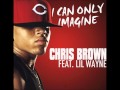 David Guetta ft. Chris Brown and Lil Wayne - I Can Only Imagine