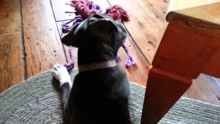 20130820_172302.mp4