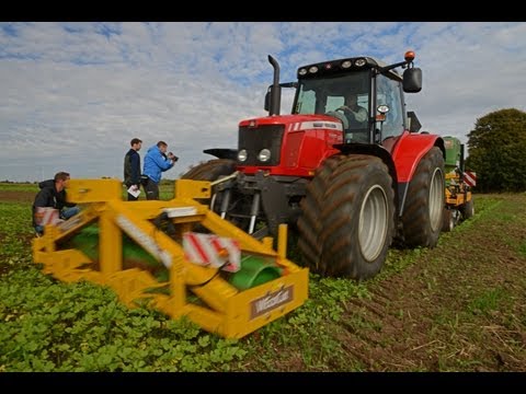 Video: Hvad er mellemafgrøde Hvordan udvælges afgrøder til mellemafgrøde?