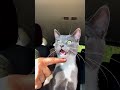 The FUNNIEST Pets Of July