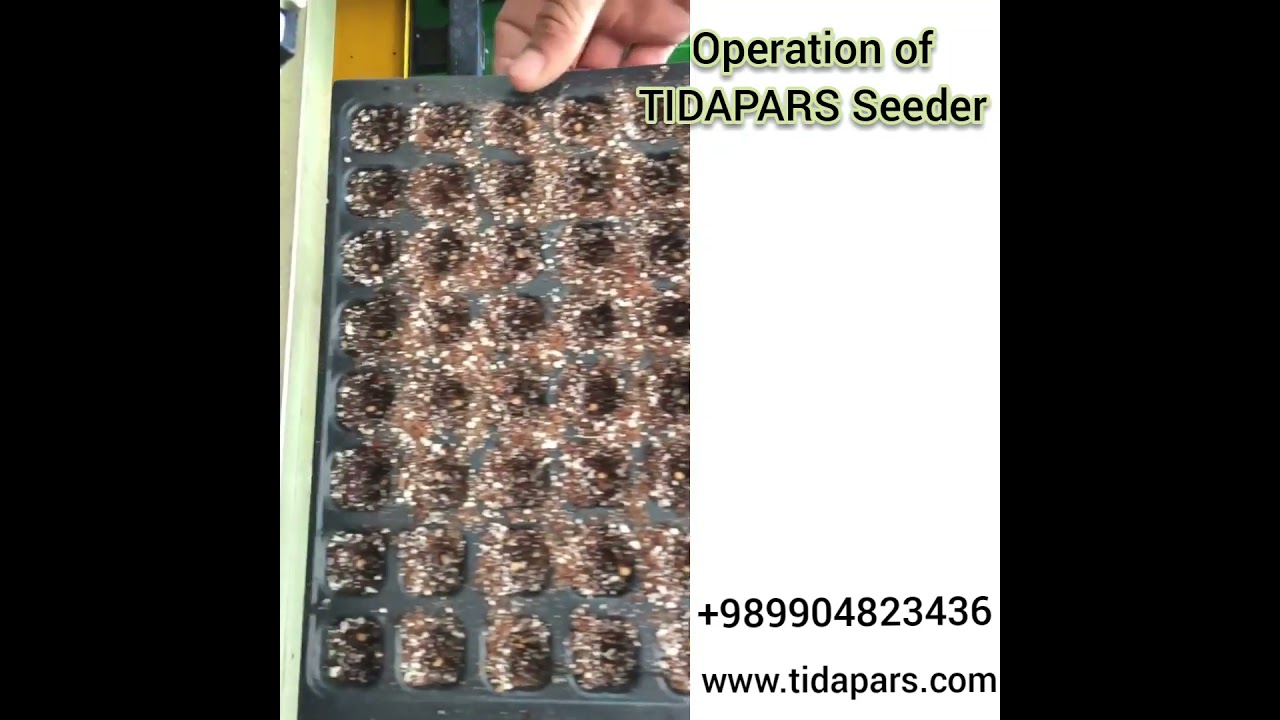 TIDAPARS Seeding Line