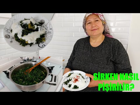 SİRKEN OTU NASIL YAPILIR //  YEMEK TARİFLERİ