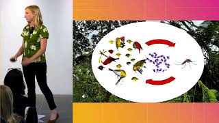 Christa Seidl, ‘Silence in Paradise: Fighting Extinction and Infectious Disease in Hawaiian Birds.’