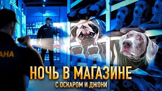 НОЧЬ В МАГАЗИНЕ С ОСКАРОМ И ДЖОНИ 😱