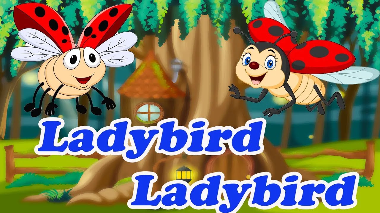 Ladybird Ladybird    Kids & Nursery Rhymes   Sing Along Song   Animated