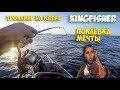 Поклёвка мечты. Троллинг на каяке KingFisher