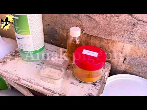 تحضير الحمام لعلاج الكنكر  للمبتدئين