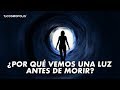 ¿POR QUÉ VEMOS UNA LUZ ANTES DE MOR...?