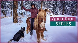 A Quiet Ride: Explore the Magical Colorado Winter on Horseback! by DiscoverTheHorse 6,513 views 1 month ago 9 minutes, 6 seconds