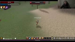 Downfall mmorpg gameplay
