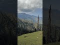 Ramakunda top meadows, Gool, Ramban-Reasi border, Jammu and Kashmir #beautiful #mountains #meadows