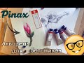 Мнение об акварели Pinax и ботаническая иллюстрация