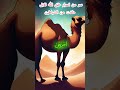سر من اسرار خلق الله للابل او الجمل خلقت من الشياطين 