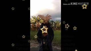 Home Made Kazoku  Nagareboshishooting Star  S  Indonesian Translation