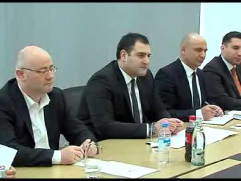 შინაგან საქმეთა მინისტრი ევროპის საბჭოს ადამიანის უფლებათა კომისარს შეხვდა