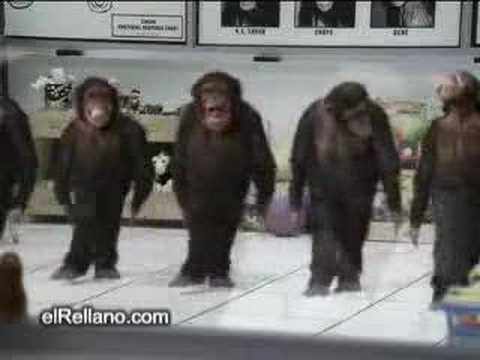 Dans Eden Maymunlar - Dancing Monkeys
