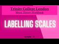 Trinity Music Theory Workbook Grade 5 - Labelling Scales