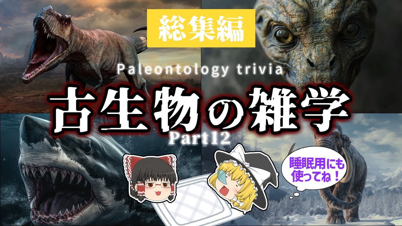 【睡眠用・ゆっくり解説】古生物の雑学 Part.12　ティラノサウルス/ディノサウロイド/メガロドンなど【広告最初のみ　途中広告なし】