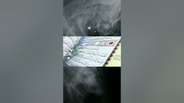 سورة الكهف بصوت رائع (القران الكريم)