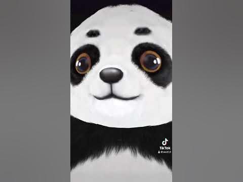 Panda Bear - YouTube
