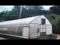 Trinog single span high tunnel greenhouse
