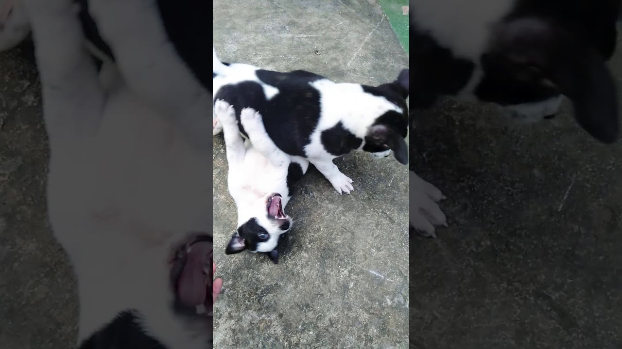 Wlang magawa🤣 - YouTube