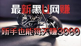 2023灰产项目|网赚 项目|赚钱 方法|最新项目|网络赚钱，毫无风险，新手立刻学会，稳定每天600美金 （网赚平台教程）