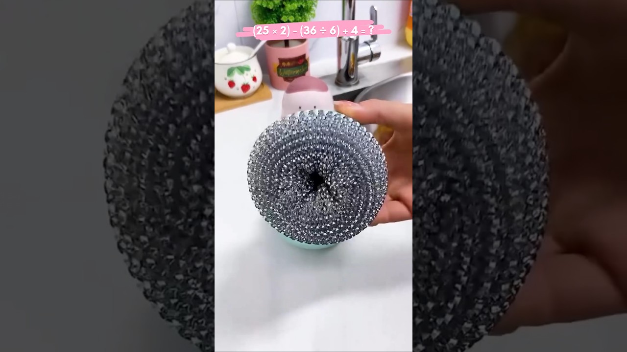 Powerful Stainless Steel Scrubber 😲 