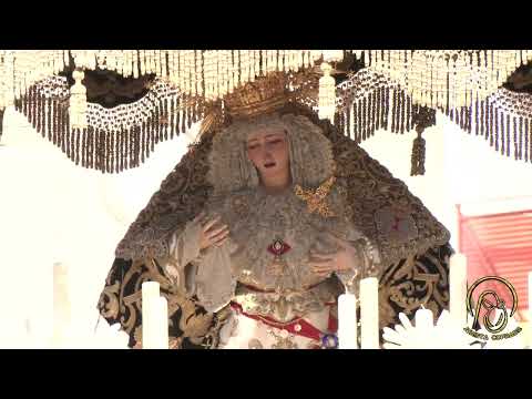 Pontificia, Real, Muy Ilustre y Trinitaria Hermandad Sacramental y Archicofradía de Nazarenos del Sagrado Decreto de la Santísima Trinidad, Santísimo Cristo de las Cinco Llagas, María Santísima de la Concepción, Nuestra Señora de la Esperanza Coronada y San Juan Bosco