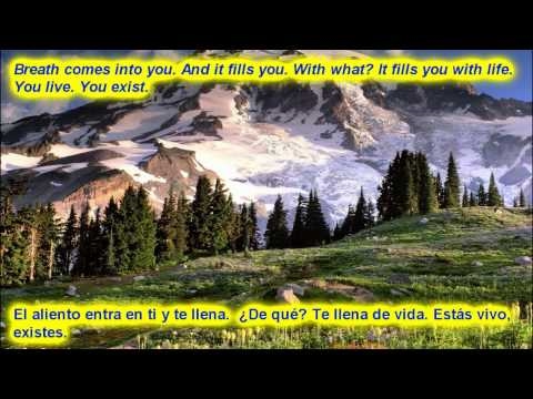 The River of Life :: Maharaji :: English/Spanish