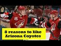 8 reasons to like arizona coyotes  nhl