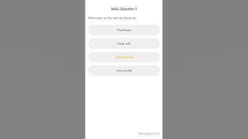 Nail Exam 2023 #1: White spots on the nails are known as