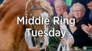Gwylio'r Cylch Canol yn FYW 2026 - Dydd Mawrth (dim sylwebaeth) | Watch the Middle Ring LIVE 2026...