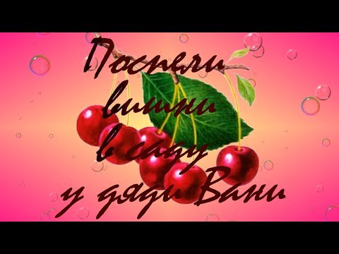 ПЕСНЯ ПОСПЕЛИ ВИШНИ В САДУ У ДЯДИ ВАНИ СКАЧАТЬ БЕСПЛАТНО ПЕСНЯ ПОСПЕЛИ ВИШНИ В САДУ У ДЯДИ ВАНИ СКАЧАТЬ БЕСПЛАТНО