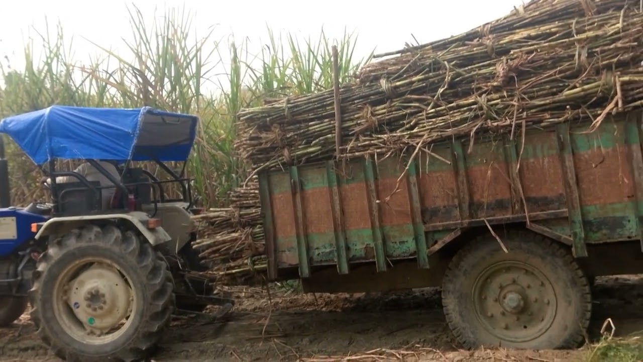 Aaj powertrac bahut buri taraha fas gaya Swaraj sa tochan karna pada Swaraj power 🔥🔥🔥🔥🔥🔥👍#subscribe#