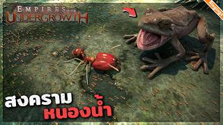 กบโคลน vs รังมด | Empire of the undergrowth ไทย Culling 2 screenshot 3