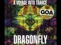 Dragonfly Records - A Voyage Into Trance(1997)