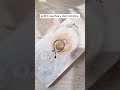 How to Anneal Silver