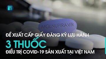 Bản tin sáng 6/1: Chuẩn bị cấp phép lưu hành 3 thuốc Molnupiravir sản xuất ở Việt Nam | VTC1