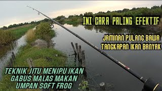 CARA MANCING IKAN GABUS PAKAI UMPAN SOFT FROG KODOK SELAM,DI JAMIN KETAGIHAN,UMPAN JITU IKAN GABUS screenshot 3