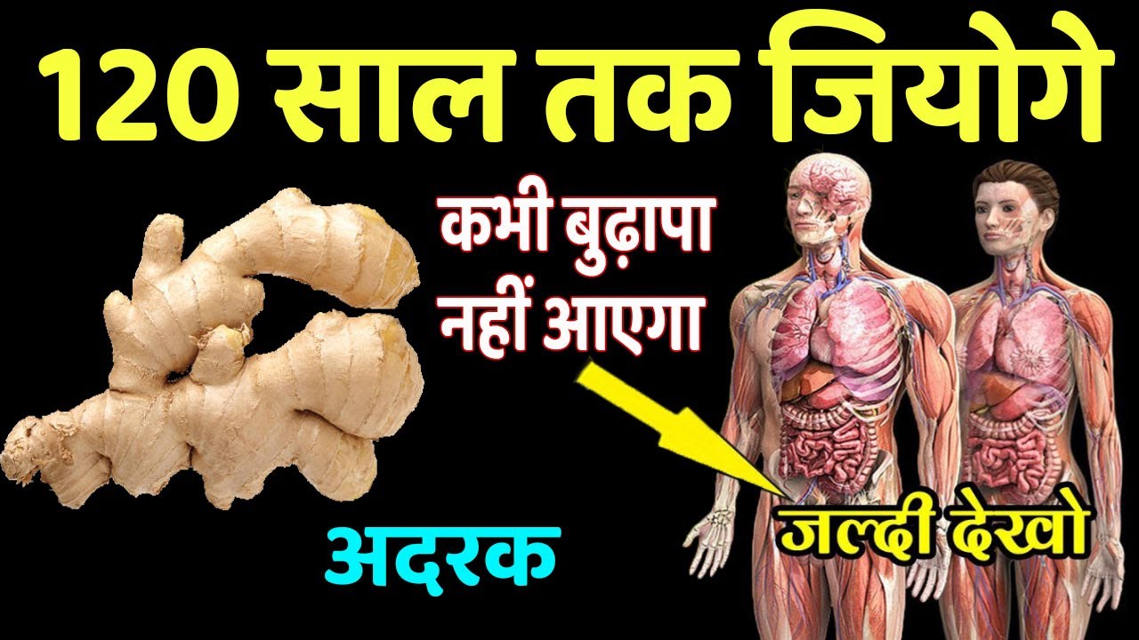 अदरक खाने वाले यह वीडियो ज़रूर देखें Ginger Benefits in Hindi YouTube